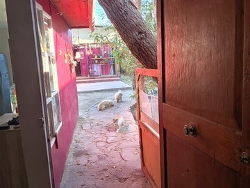 Local Comercial en venta en Atacama, Copiapó - 5 dormitorios, 3 baños