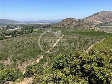 Terreno Agricola en venta en Melipilla-el carmen, Melipilla