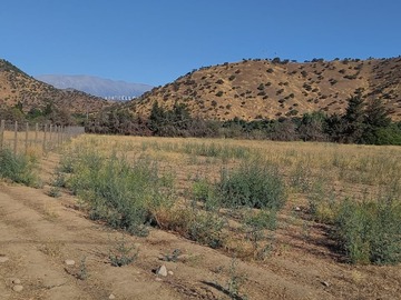 Venta / Parcela / Paine