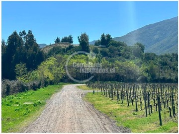 Sitio en venta en Condominio - santa cruz entre viñas apalta - lapostolle - montes - ventisqueros - millahue, Santa Cruz