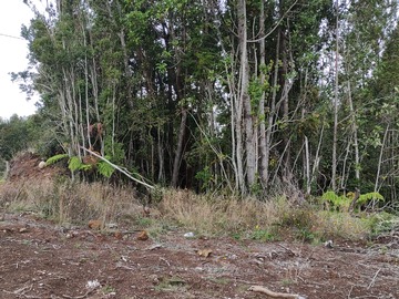 Parcela en venta en Quemchi, Quemchi