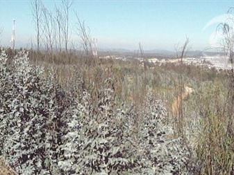 Terreno Industrial en venta en Ruta f-720 camino la polvora placilla, Valparaíso