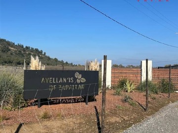 Sitio en venta en Condominio Avellanos de Zapallar, Curicó