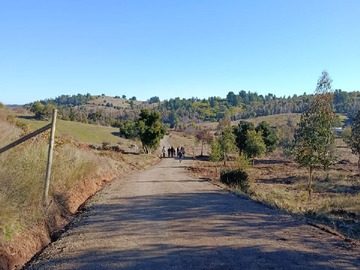 Parcela en venta en hacaya, yumbel, Yumbel