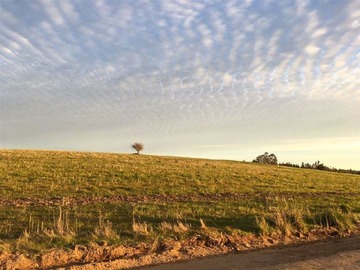 Parcela en venta en Parcelación Lomas del Sauce, Litueche, Litueche