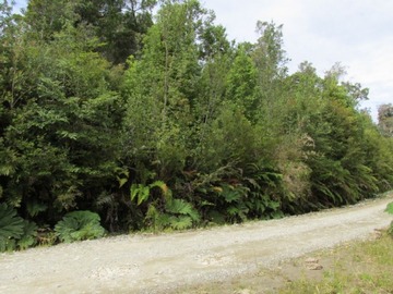 Parcela en venta en Tepuhueico, Chonchi