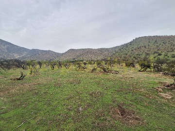 Terreno en venta en Nuevo Precio!! Santa María II, Chamisero (164089), Colina