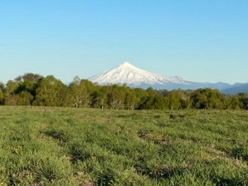 Parcela en venta en Praderas de Villarrica, Villarrica