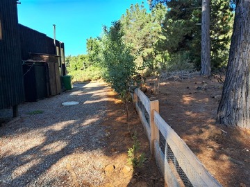 Venta / Sitio / Algarrobo