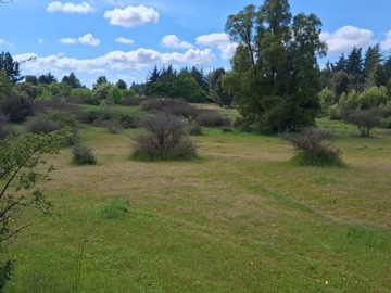 Parcela en venta en Terreno de 3 hectáreas en chillancito en quillón, Quillón