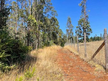 Venta / Terreno / Temuco