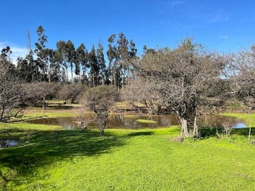 Terreno en venta en Plano con gran extensión (135842), Zapallar