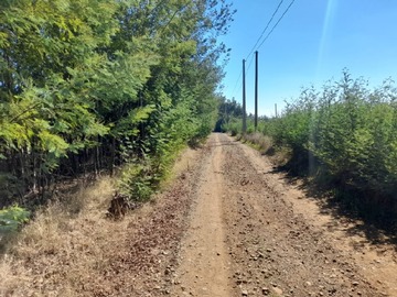Venta / Parcela / Chillán Viejo