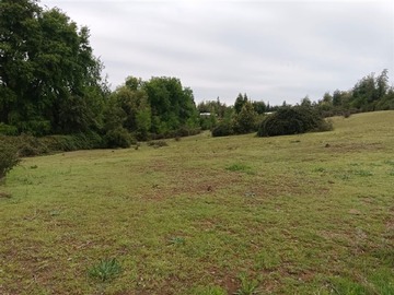 Sitio en venta en La placeta, San Clemente