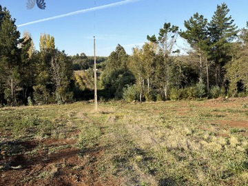 Terreno en venta en Parcelas con Arboles Nativos Collipulli (169183), Collipulli
