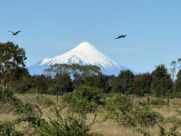 Terreno en venta en Altos del Tepual: Excelente Conectividad (160033), Puerto Montt