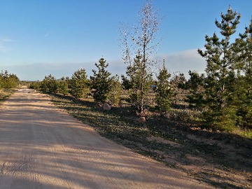 Venta / Terreno / La Estrella