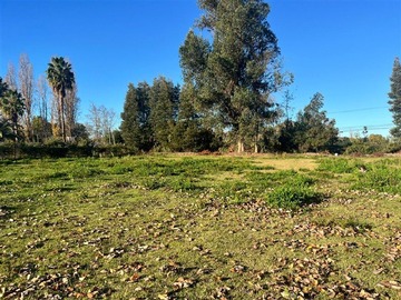 Parcela en venta en camino a villa alegrre, San Javier de Loncomilla
