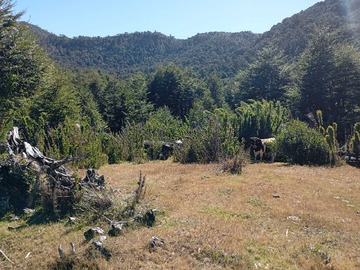 Terreno en venta en Venta Campo Huife-Pucón (168146), Pucón