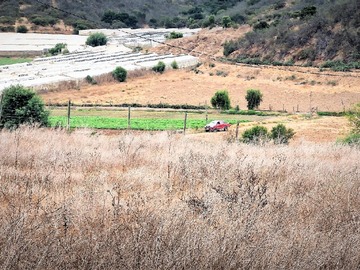 Terreno Agricola en venta en Lote 5 de parcelación 32, Rautén Bajo, El Huape, Quillota, Quillota