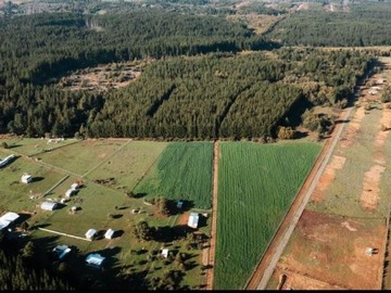 Parcela en venta en Camino San Ignacio - Camino Pinto, Pinto