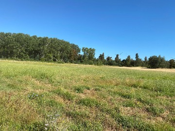 Terreno Agricola en venta en Se Vende Espectacular Campo. Mulchen (73488), Mulchén