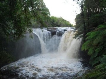 Parcela en venta en Chiloé, Chonchi, Parque Tepuhueico, Loteo Rio Bravo, Chonchi