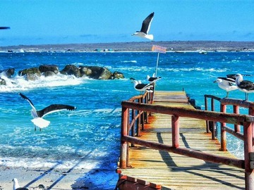 Sitio en venta en Pinguinos de humbold - costanera, La Higuera