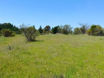 Venta / Parcela / Cauquenes