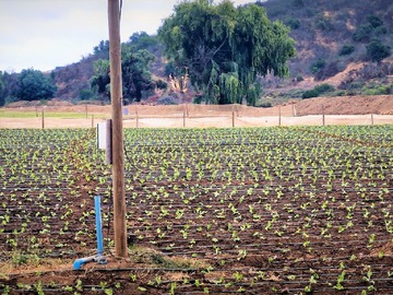 Terreno Agricola en venta en El Huape, Rautén Bajo, Lote 38 19, Quillota, Quillota