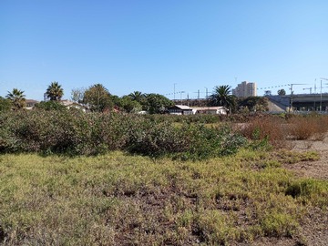 Terreno en venta en Coquimbo excelente terreno comercial (73892), Coquimbo
