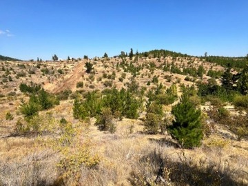 Parcela en venta en Pan de azucar, San Javier de Loncomilla