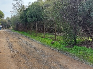 Parcela en venta en Parcela 6.140 M Mostazal Rol Propio 2.200 UF