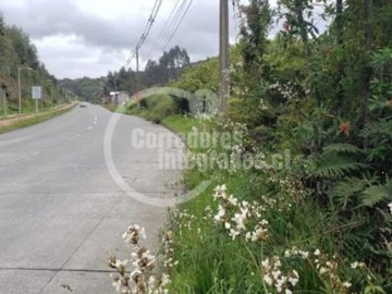 Sitio en venta en Pelluco Alto /Puerto Montt, Puerto Montt