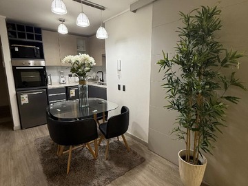 Arriendo Mensual / Departamento / Ñuñoa