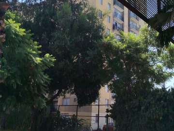 Arriendo Mensual / Departamento / San Bernardo