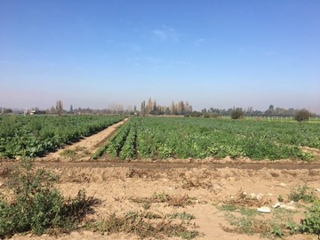 Terreno en venta en Terreno en Venta en Sector Ohiggins Ignacio Carrera, Lampa. - 5 dormitorios, 2 baños
