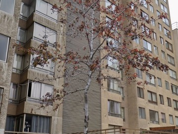 Departamento en arriendo mensual en Gorbea, cercano parque ohiggins, Santiago - 2 dormitorios, 1 baño
