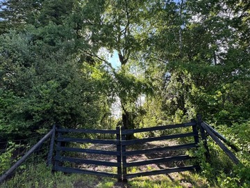 Parcela en venta en Villarrica, Villarrica