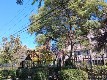 Departamento en venta en Avenida Rodrigo de Araya 4680 B, Ñuñoa - 3 dormitorios, 1 baño