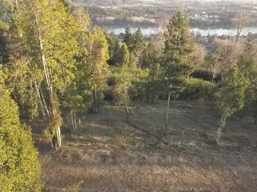 Venta / Terreno / Valdivia