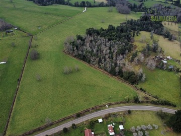 Terreno Agricola en venta en Campito de 5 hectareas a 25 min de Rio Bueno y 19 min de Lago Ranco, Futrono