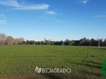 Terreno en venta en Parcelas Camino a Las Mariposas (134866), Chillán