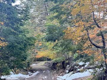 Sitio en venta en camino a rinconada currarehue, Curarrehue