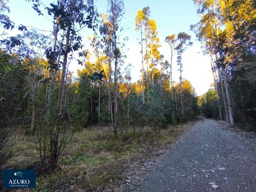 Terreno en venta en Terreno 6 Hás. plano c/camino, Automó, P.Montt (176432), Puerto Montt