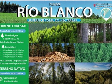 Terreno en venta en Campo agricola, rio blanco (116534), Purranque