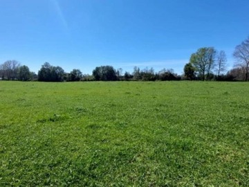 Terreno en venta en Villarica (73977), Pitrufquén
