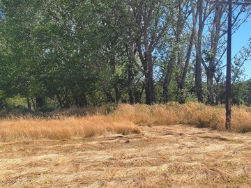 Parcela en arriendo mensual en Antilhue, Los Lagos