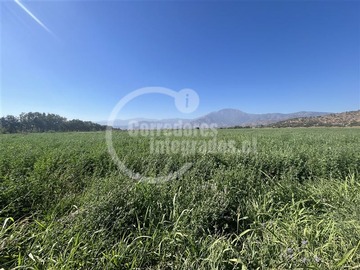 Terreno Agricola en venta en Agricola en venta escuela basica ntra sra de la guarda, Curacaví