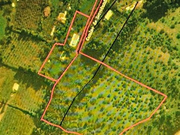 Parcela en venta en El rincon, la punta, san francisco de mostazal, region bernardo o´higgins, Mostazal